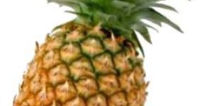 Fresh Pineapple