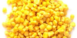 Sweet Corn Seeds