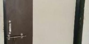 Laminated Flush Doors