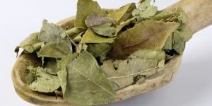 Dried Curry Leaves