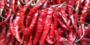 Dried Red Chillies