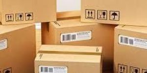 Packaging Consultancy Services