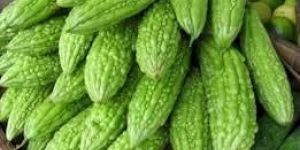 Fresh Bitter Gourd