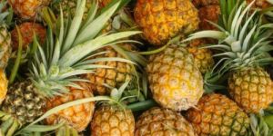 Fresh Pineapple