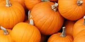 Fresh Pumpkin