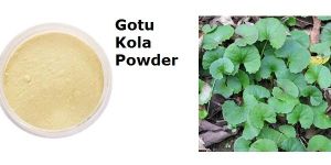 Gotu Kola Powder