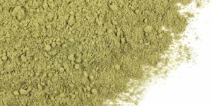 Gymnema Sylvestre Powder