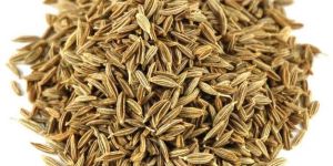 Cumin Seeds