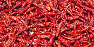 Dried Red Chilli