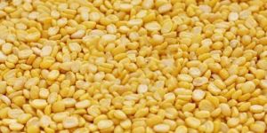 Moong Dal