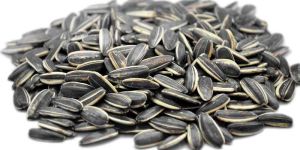 Sunflower Seeds