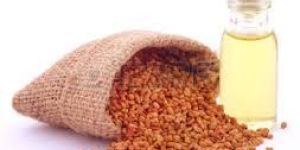 Fenugreek Oil, Trigonella foenum-graecum