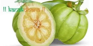 Garcinia Cambogia Extract
