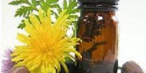 Kapur Kachari Oil, Hedychium Spicatum