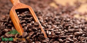 Natural Caffeine Extract