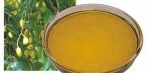 Neem Seed Oil Co2 Extract Oil