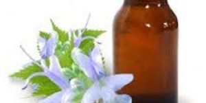 Patchouli Oil, Pogostem Oncablin