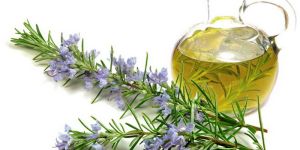 Rosemary Leaf Oil (Rosmarinus Officinalis)