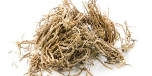 Vetiver Oil, Vetiveri Azizanioides