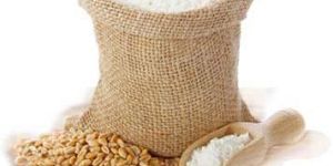 Wheat Flour