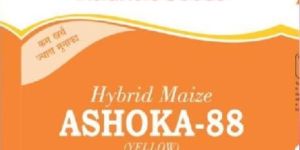 Ashoka-88 Hybrid Yellow Maize Seeds