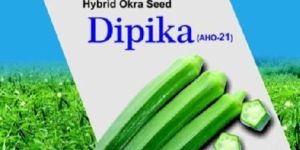 Dipika Hybrid Okra Seeds