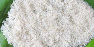 Sharbati White Non Basmati Rice