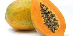 Fresh Papaya