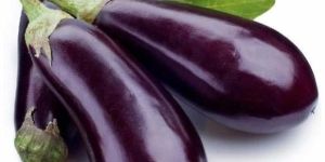 Fresh Brinjal