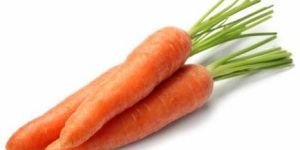 Fresh Carrot