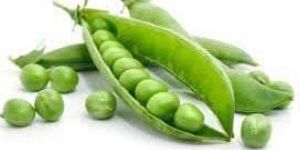 Fresh Green Peas