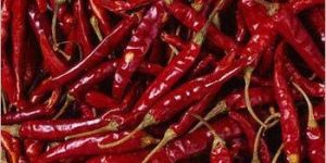 Fresh Red Chilli