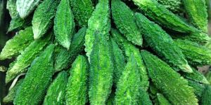 Fresh Bitter Gourd