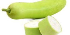 Fresh Bottle Gourd