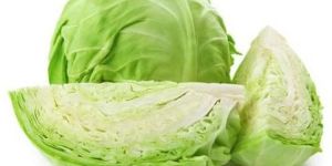 Fresh Cabbage