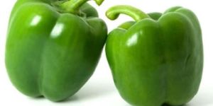 Fresh Capsicum