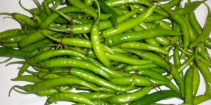 Fresh Green Chilli