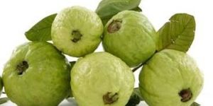 Fresh Guava