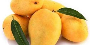 Fresh Mango