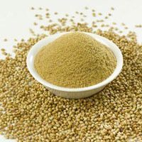 Fennel Powder
