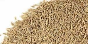 Cumin Seeds