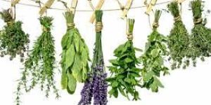 Organic Raw Herbs