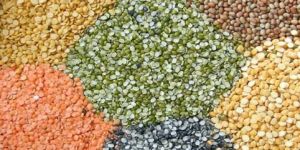 Pulses