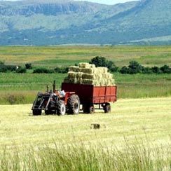 Contract Farming Services