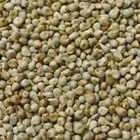 Millet Seeds
