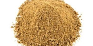 Dry Mango Powder