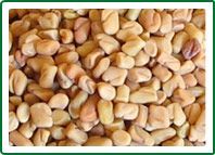 Fenugreek Seeds