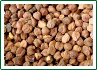 Black Chickpeas