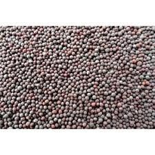 Black Mustard Seeds