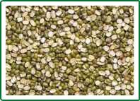 Split Moong Dal